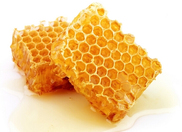 馬蜂用什么東西筑巢(馬蜂拿什么來做窩) 馬蜂用什么東西筑巢(馬蜂拿什么來做窩)