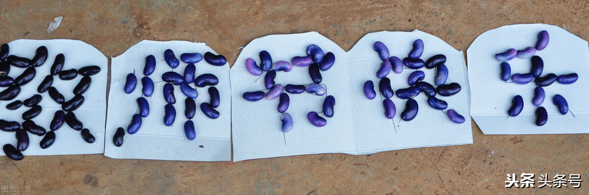 最想說給老師的話 今天是教師節,你最想對老師說什么?