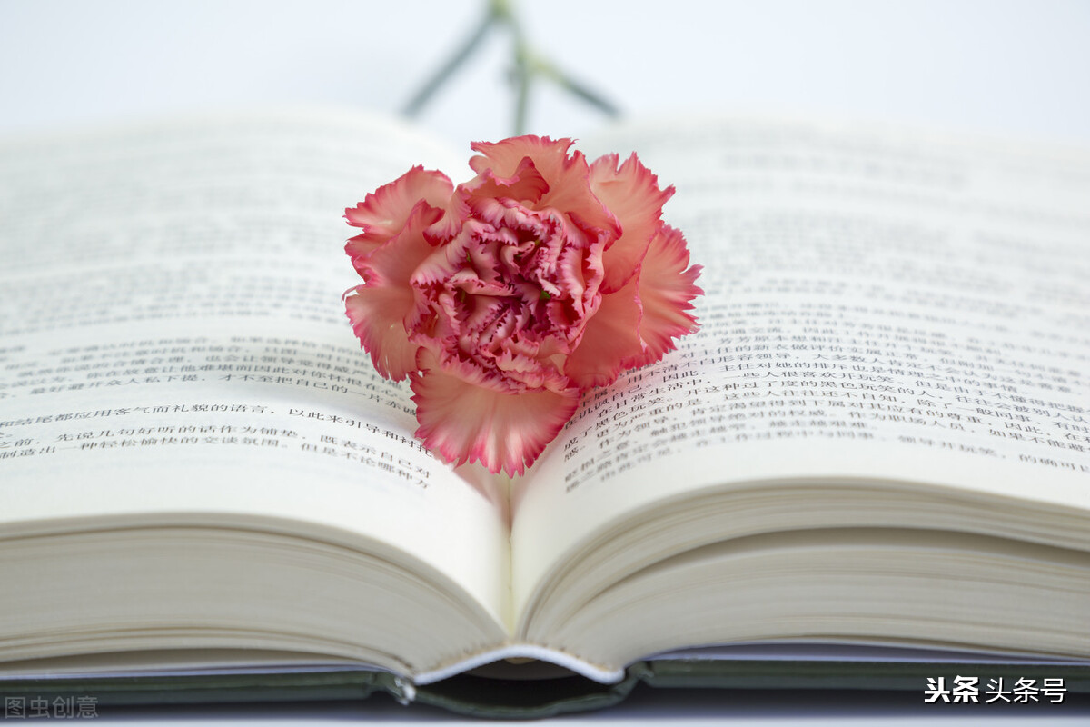 最想說給老師的話 今天是教師節,你最想對老師說什么?