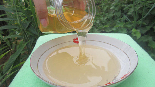 中國大虎頭蜂雄蜂和雌蜂的區別(中國大虎頭蜂怎么分公母) 中國大虎頭蜂雄蜂和雌蜂的區別(中國大虎頭蜂怎么分公母)