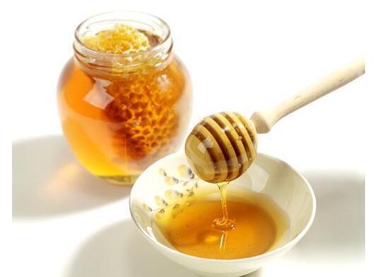 中國大虎頭蜂雄蜂和雌蜂的區別(中國大虎頭蜂怎么分公母) 中國大虎頭蜂雄蜂和雌蜂的區別(中國大虎頭蜂怎么分公母)