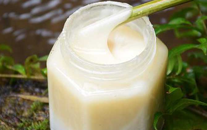 鴨腳木蜜多少錢一斤(鴨腳木蜜價格多少錢一斤) 鴨腳木蜜多少錢一斤(鴨腳木蜜價格多少錢一斤)