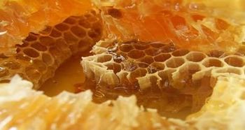 肉眼能分辨蜂蜜真假么(有白色沉淀的蜂蜜是真的嗎) 肉眼能分辨蜂蜜真假么(有白色沉淀的蜂蜜是真的嗎)