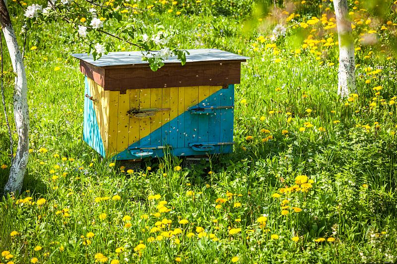 高加索蜂蜂箱濕度多少合適(蜂群巢內濕度的判斷依據及調控措施) 高加索蜂蜂箱濕度多少合適(蜂群巢內濕度的判斷依據及調控措施)