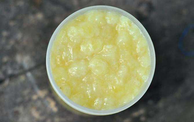 蜂王漿是哪種蜜蜂吃的(蜂王漿的營養(yǎng)價值) 蜂王漿是哪種蜜蜂吃的(蜂王漿的營養(yǎng)價值)