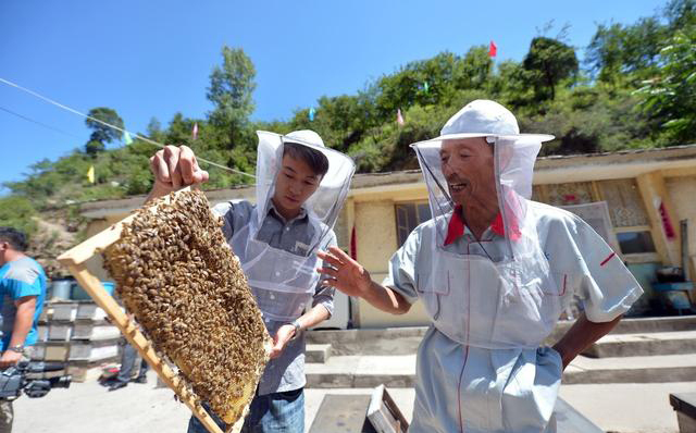 如何注冊養(yǎng)蜂公司(注冊公司步驟) 如何注冊養(yǎng)蜂公司(注冊公司步驟)