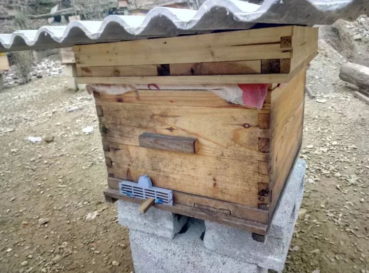 中蜂格子箱規格及尺寸(格子蜂箱的標準尺寸與優缺點) 中蜂格子箱規格及尺寸(格子蜂箱的標準尺寸與優缺點)