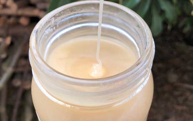 鴨腳木蜜結(jié)晶后什么樣的(鴨腳木蜜結(jié)晶好還是不結(jié)晶好) 鴨腳木蜜結(jié)晶后什么樣的(鴨腳木蜜結(jié)晶好還是不結(jié)晶好)