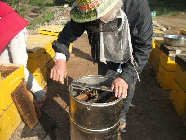 什么是搖蜜機 什么是搖蜜機