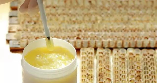 蜂王漿適合什么人吃?(有什么好處和作用,可以長(zhǎng)期吃嗎?) 蜂王漿適合什么人吃?(有什么好處和作用,可以長(zhǎng)期吃嗎?)