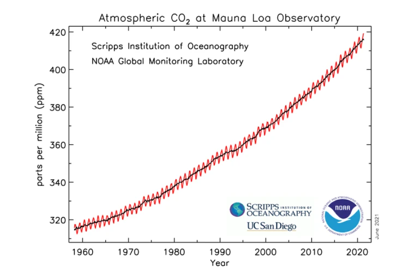 赤道旁喀麥隆下雪 赤道附近喀麥隆罕見(jiàn)降雪!人類(lèi)正處在大冰期中,全球變暖錯(cuò)了?