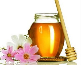 鴨腳木蜜孕婦可以吃嗎(孕婦能適當(dāng)喝鴨腳木蜜嗎) 鴨腳木蜜孕婦可以吃嗎(孕婦能適當(dāng)喝鴨腳木蜜嗎)