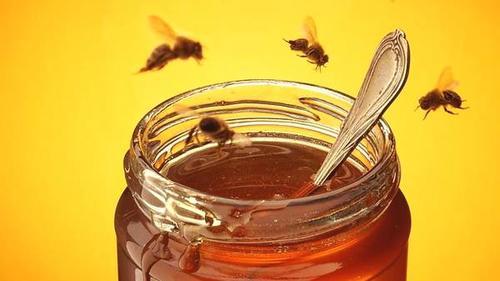 人工分蜂要多久才穩定（人工分蜂后多久才不回蜂）