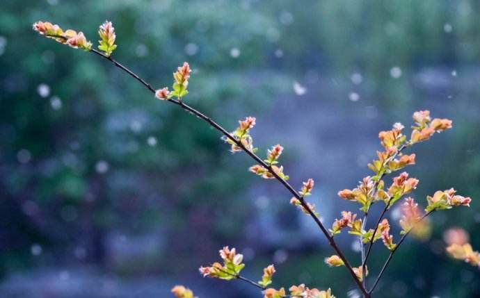 北方室內蜂群的越冬管理方法 北方室內蜂群的越冬管理方法