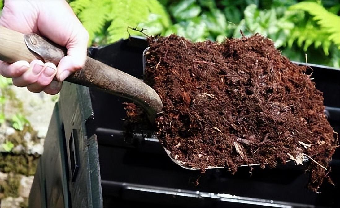 水仙花的養(yǎng)殖方法和注意事項(水培土培水仙花正確養(yǎng)法) 水仙花的養(yǎng)殖方法和注意事項(水培土培水仙花正確養(yǎng)法)