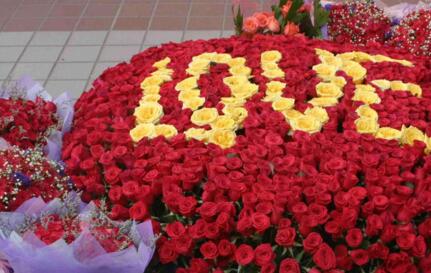 999朵玫瑰代表什么(999朵玫瑰花的寓意和花語) 999朵玫瑰代表什么(999朵玫瑰花的寓意和花語)