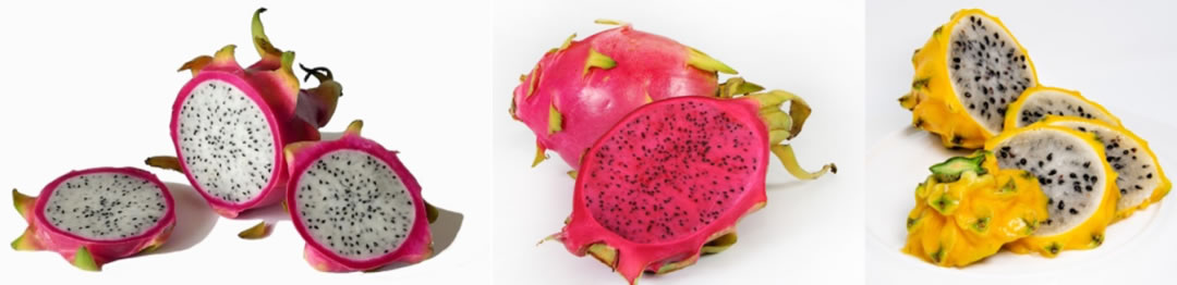 火龍果是仙人掌的果實(shí)嗎 火龍果是仙人掌的果實(shí)嗎