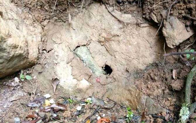 誘蜂洞挖在什么地方好？