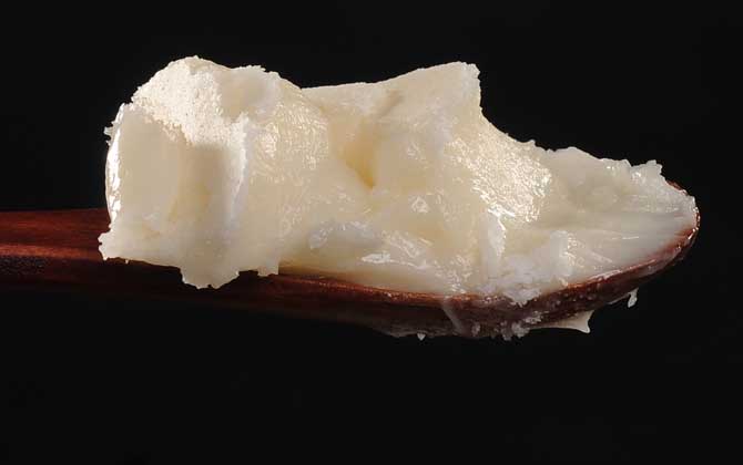 黑蜂蜂蜜的作用與功效有哪些？不但能潤腸通便，還能美容養顏！