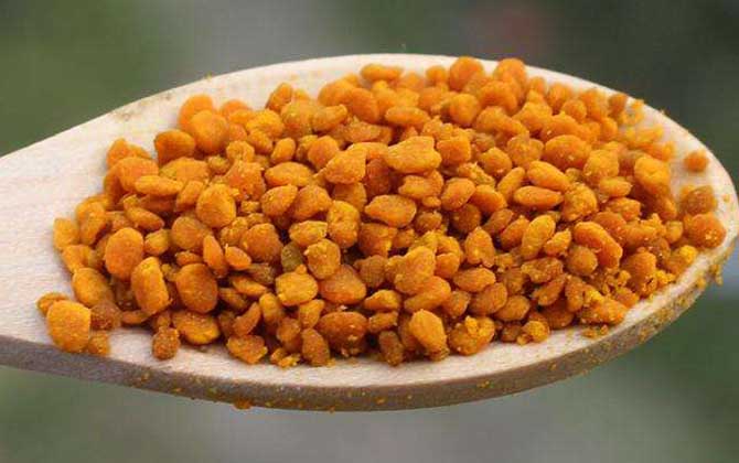 茶花粉的功效與作用有哪些？經常吃些茶花粉，這6個好處跑不了！