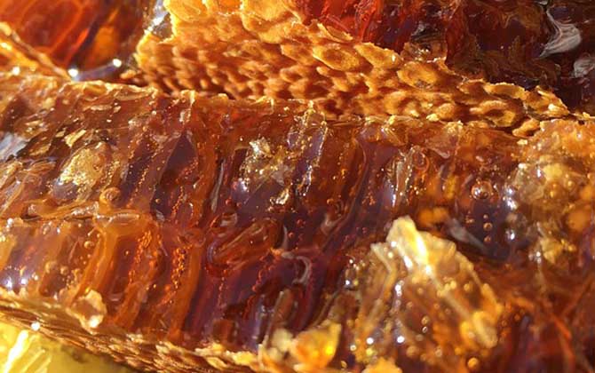 蜂巢酒的禁忌有哪些？除了不能過量飲用，還要警惕發生過敏反應！