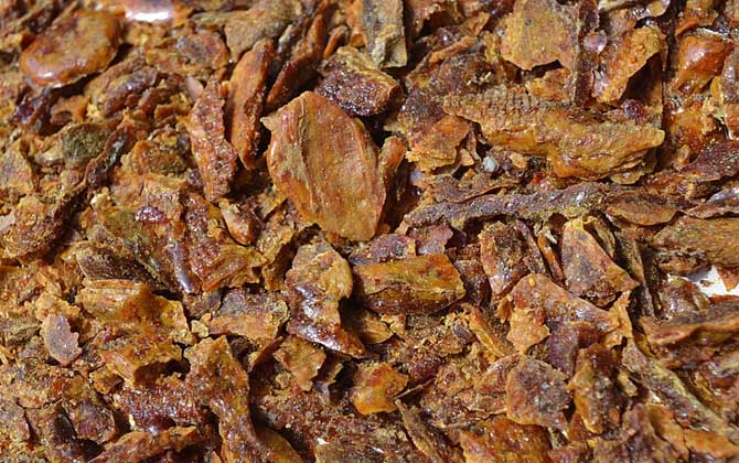 蜂膠哪4類人不能吃？除了要提防過敏，孕婦和幼兒也不能吃蜂膠！