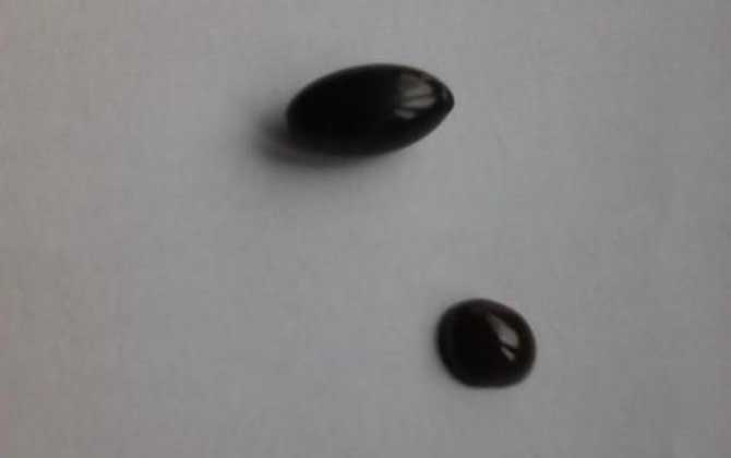 女性吃蜂膠要注意什么？要謹防發生過敏反應，更不能過量服用！