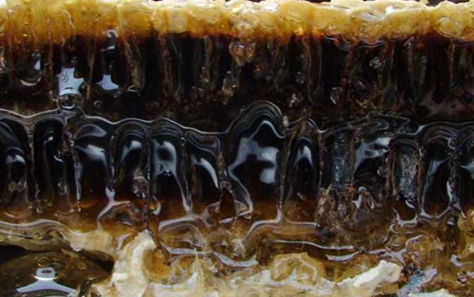 老蜂巢治療鼻炎怎么吃？小火熬成蜂巢水，內服和外用均有效！