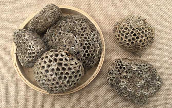 蜂房怎樣吃不會中毒？蜂房有小毒，必須在醫生的指導下服用！