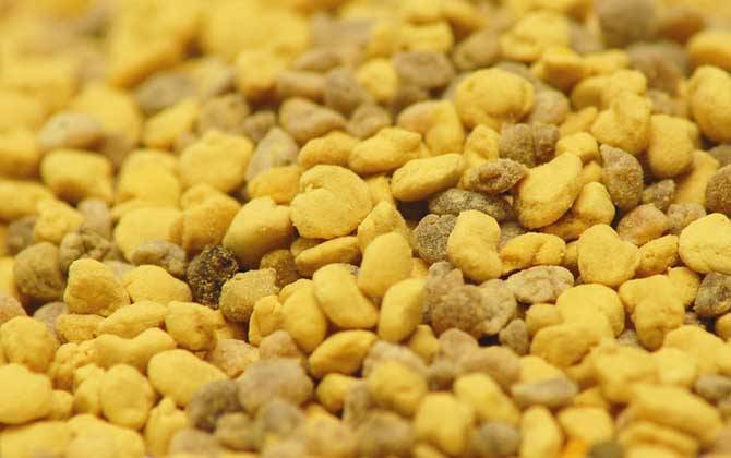 男人吃花粉有什么好處？不但能增強體質，還能預防前列腺疾病！