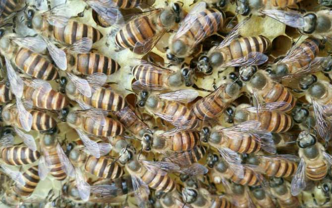 工產群怎么介王安全？