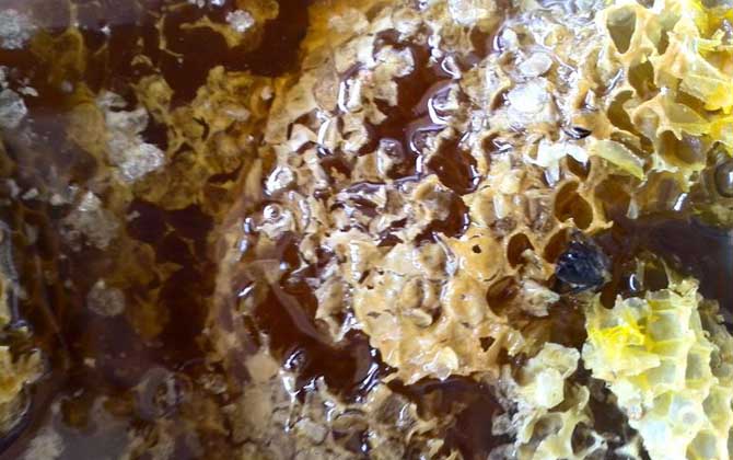 純野生蜂蜜200元一斤貴嗎？