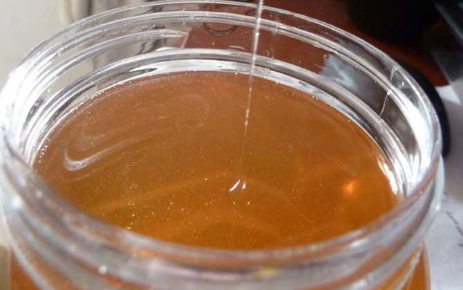 蘋果蜜價格多少錢一斤？