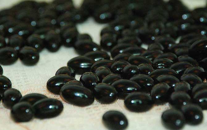 女性經(jīng)常吃蜂膠有什么害處？