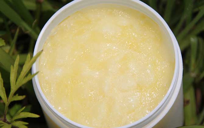 蜂皇漿多少錢一斤正常？