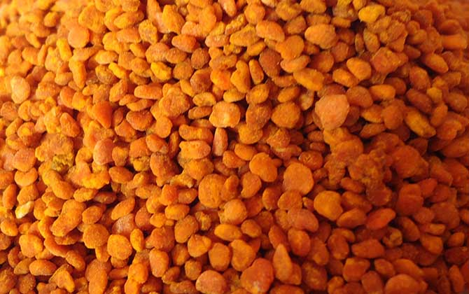 茶花粉和荷花粉哪個好？