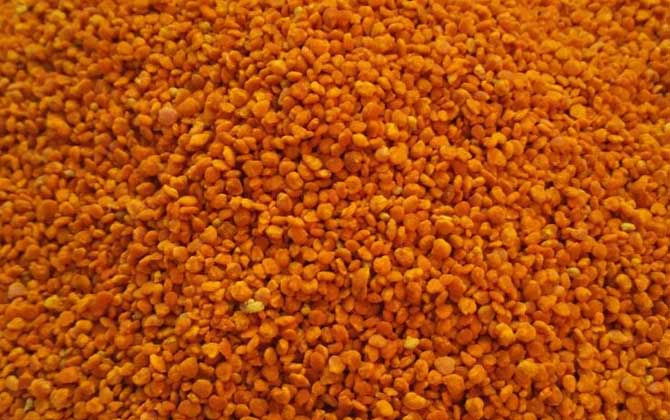 茶花粉和菜花粉哪個好？