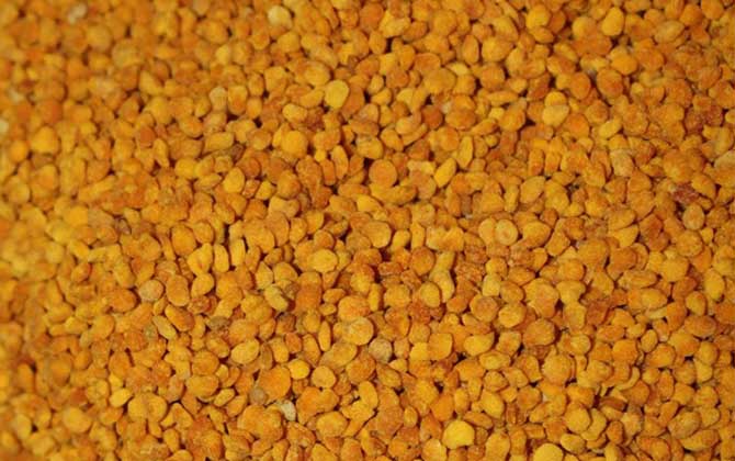 茶花粉適合什么人吃？