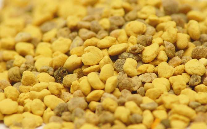 什么人群不適合吃花粉？