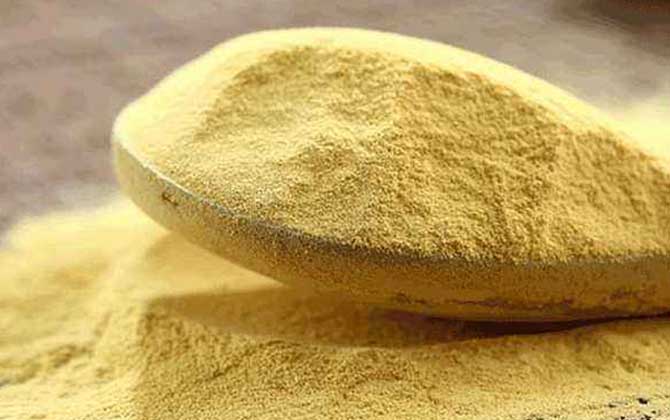 松花粉能治黃褐斑嗎？