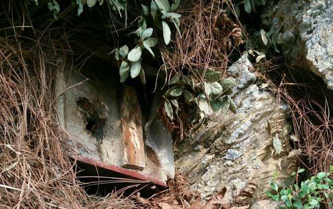 空蜂箱怎么引來蜜蜂？