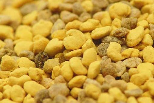 蜂花粉怎么吃效果最好？