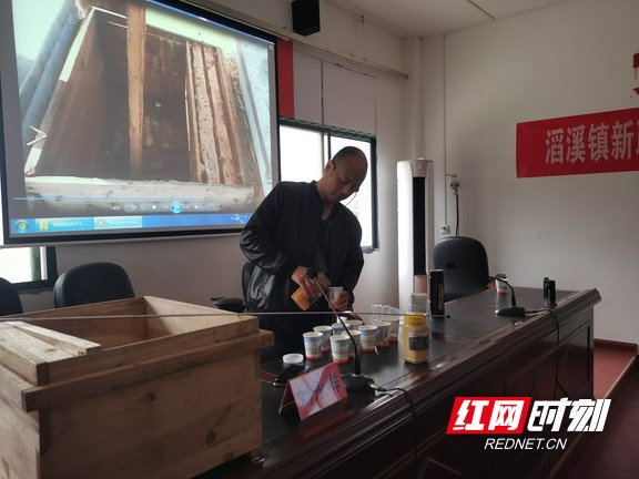 安化：養蜂技術培訓進山村甜蜜致富幸福來