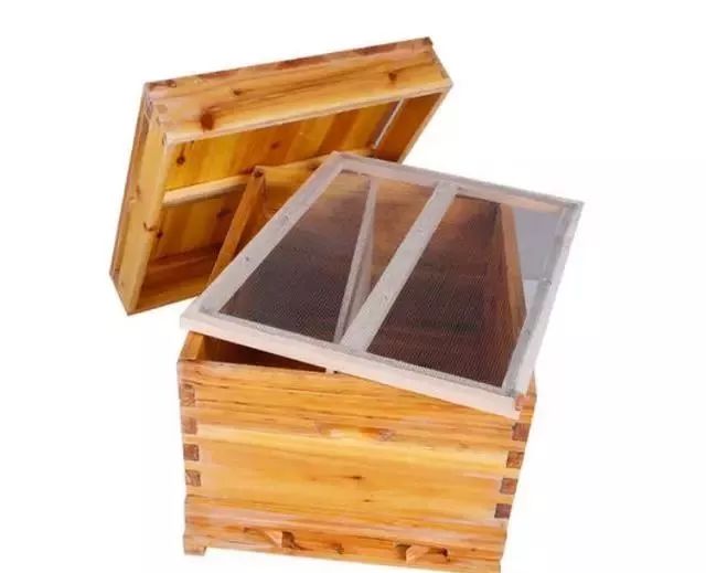 怎么看蜜蜂生病沒(méi)（蜜蜂疾病觀察診斷技術(shù)）