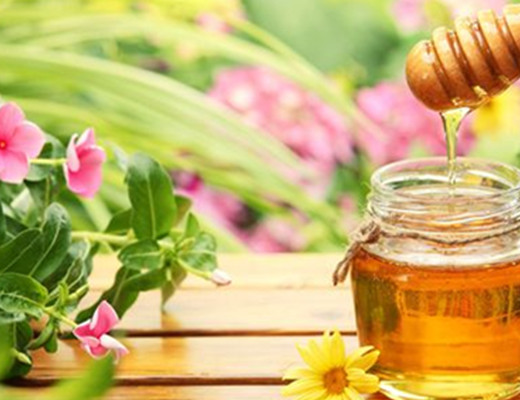 蜜蜂分蜂一般會往哪飛（蜜蜂分蜂后第一次結(jié)團時間大約是多久）