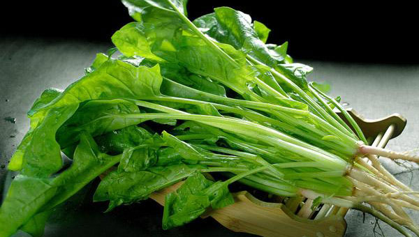 菠菜是什么季節(jié)的應(yīng)季蔬菜（菠菜種植與養(yǎng)護(hù)）